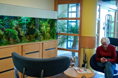 Akvárium a Kreatív Dental Klinika földszinti várójában